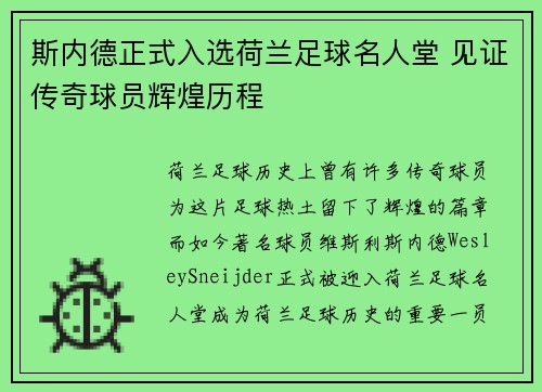 斯内德正式入选荷兰足球名人堂 见证传奇球员辉煌历程 斯内德正式入选荷兰足球名人堂 见证传奇球员辉煌历程